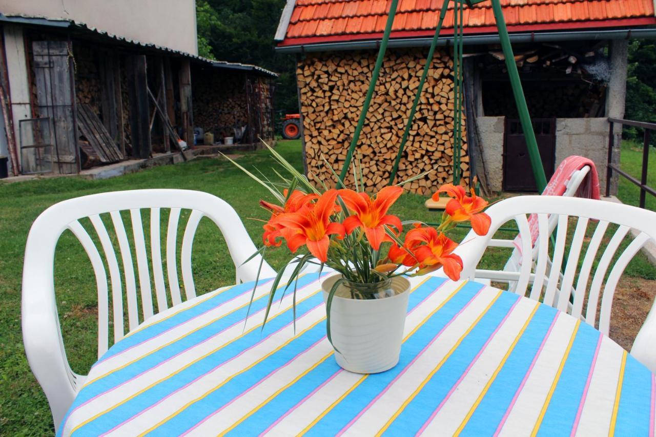 Villa Kuca Za Odmor Cicki Vrh Brestova Draga Exterior foto